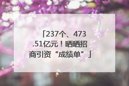 237个、473.51亿元！晒晒招商引资“成绩单”